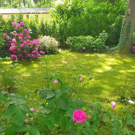 וחנינגן Vakantie Veluwe מראה חיצוני תמונה