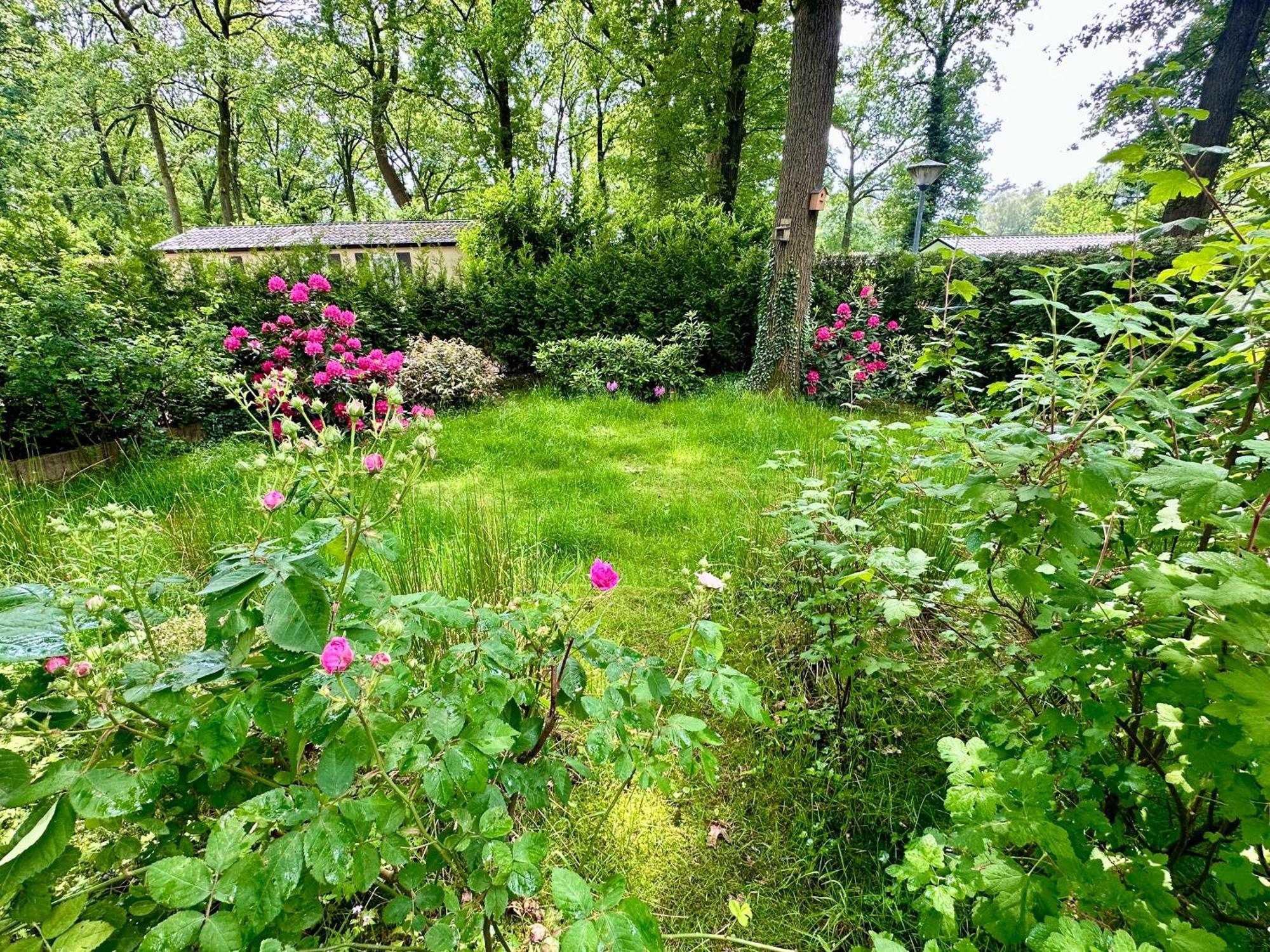 וחנינגן Vakantie Veluwe מראה חיצוני תמונה
