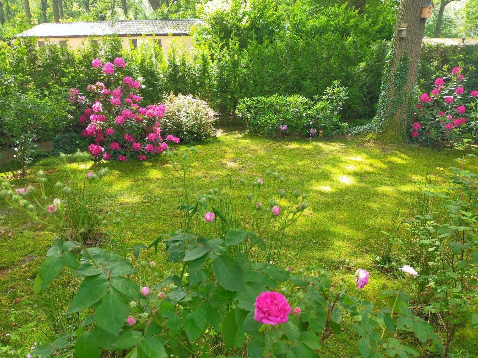 וחנינגן Vakantie Veluwe מראה חיצוני תמונה