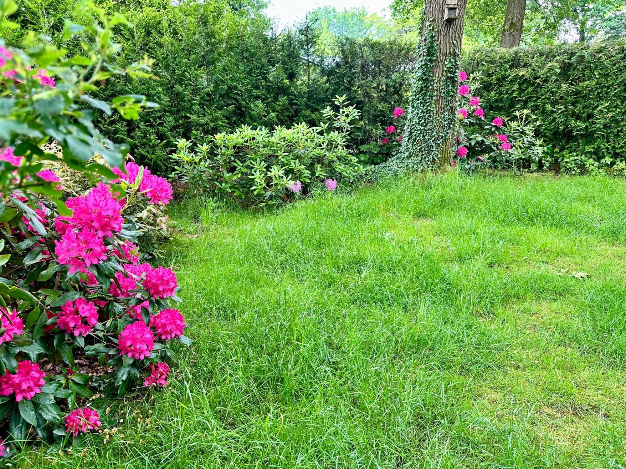 וחנינגן Vakantie Veluwe מראה חיצוני תמונה